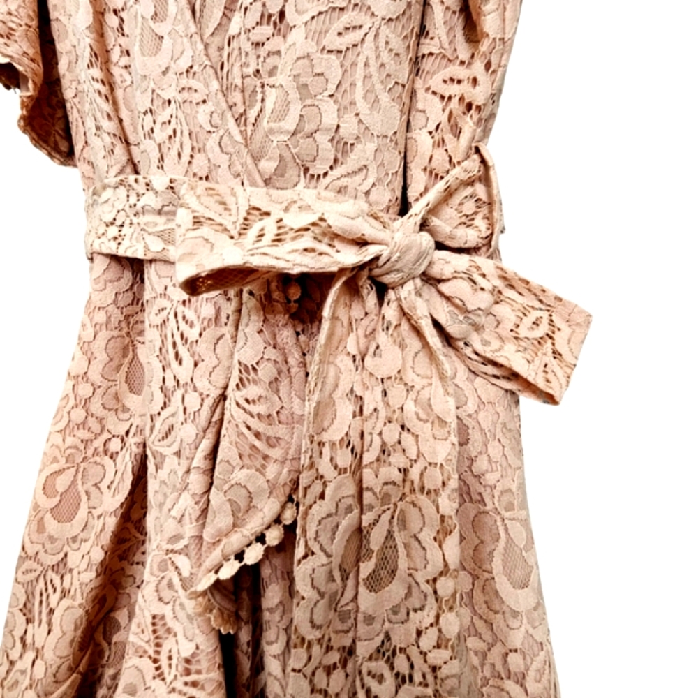 Nwt City Chic Sweet Luv Rose Quartz Lace Flutter Sleeve Vneck Knit Ruffle Dress - Picture 9 of 17